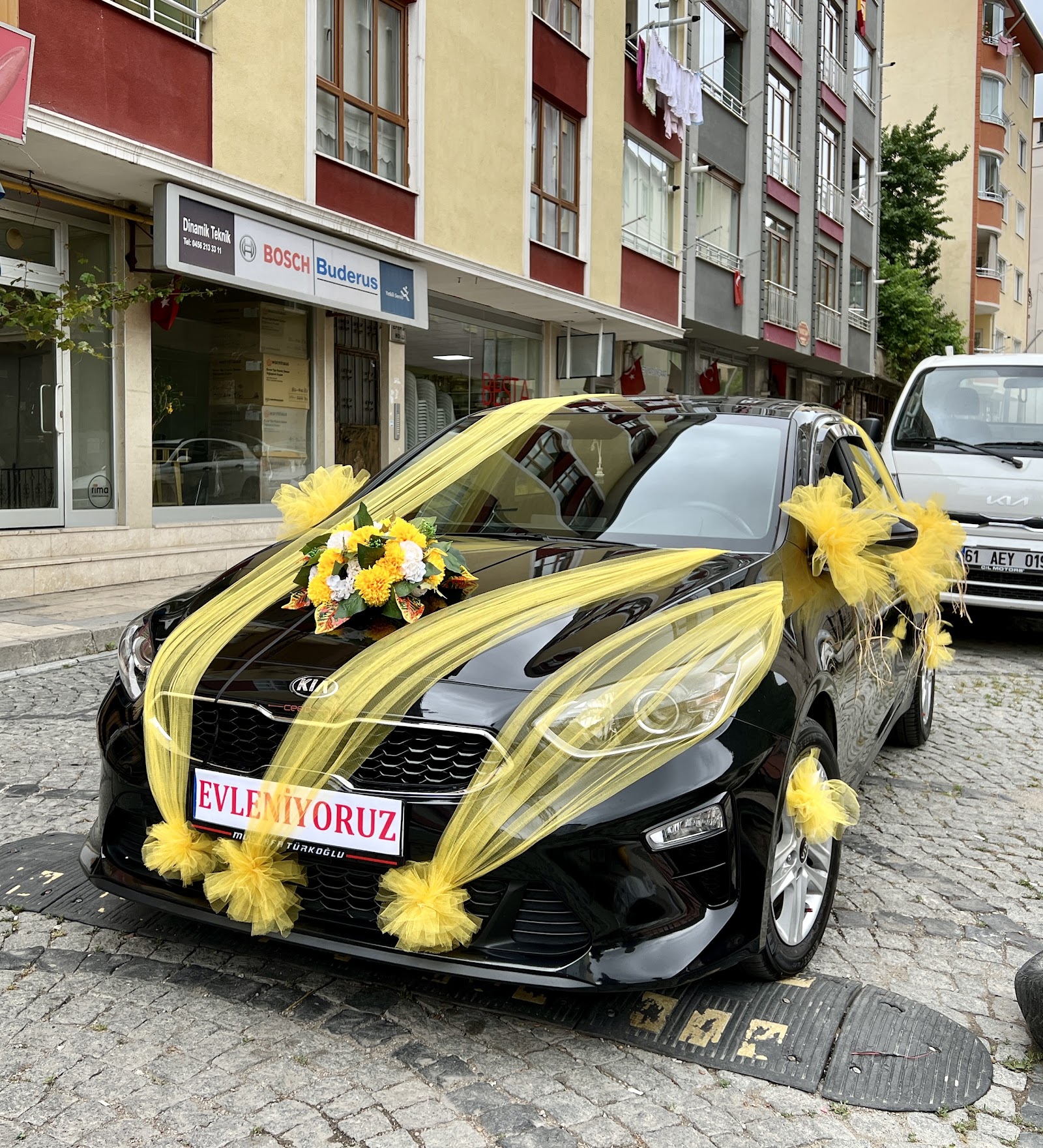 Besta seslendirme organizasyon