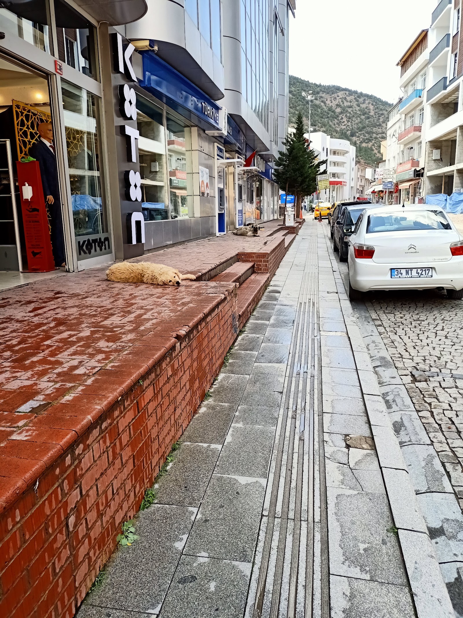 Moda Lüx