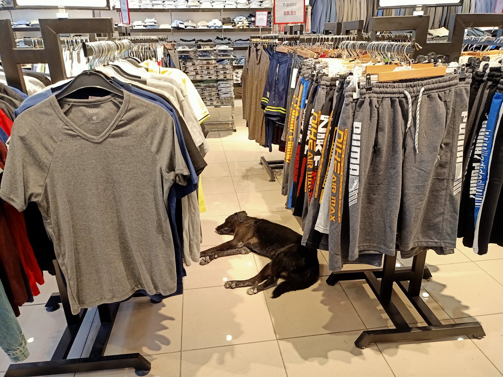Moda Lüx