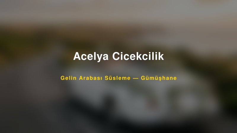 Acelya Cicekcilik Gümüşhane Gelin Arabası Süsleme