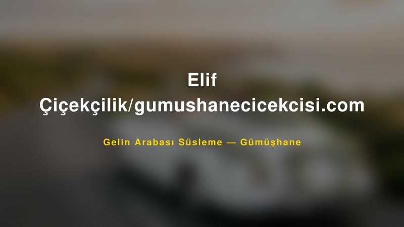 Elif Çiçekçilik/gumushanecicekcisi.com Gümüşhane Gelin Arabası Süsleme
