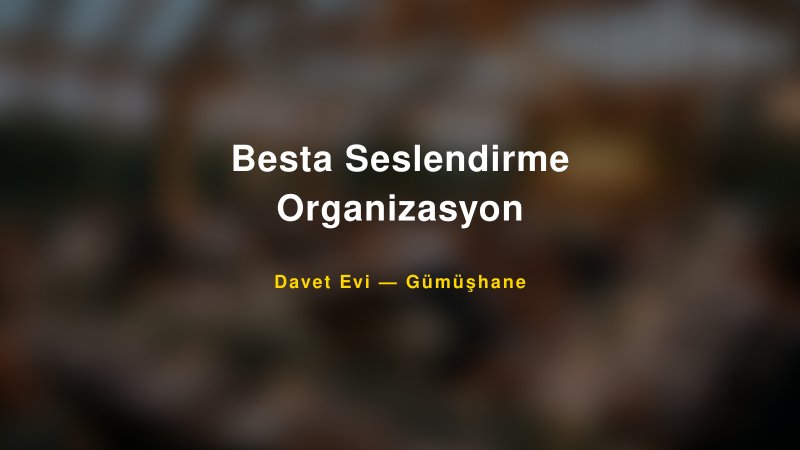 Besta Seslendirme Organizasyon Fiyatları ve Paket Seçenekleri